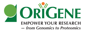 Origene